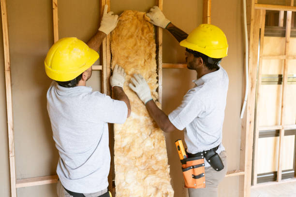 Best Commercial Insulation Services in Saginaw, MI